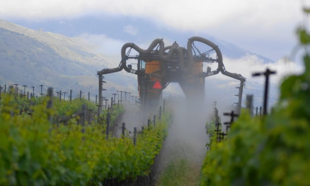 Rise of the Machines: Mechanization Comes to the Vineyards