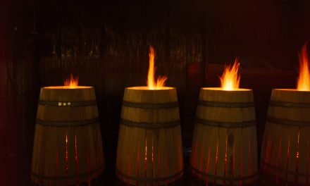 The Wonders of Wood: Cooperages and alcohol producers are expanding the roles barrels can play in altering or refining a beverage’s flavor profile.