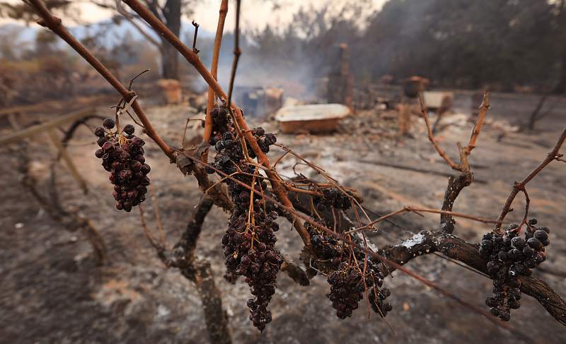 Rising from the Ashes: Northern California Wine Country looks to the future in the wake of devastating wildfires.
