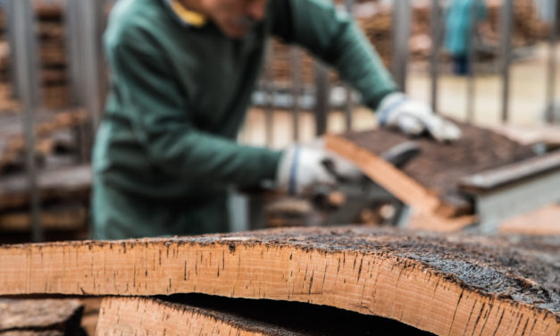 Taint Misbehavin’: Improving TCA testing methods to ensure cork quality