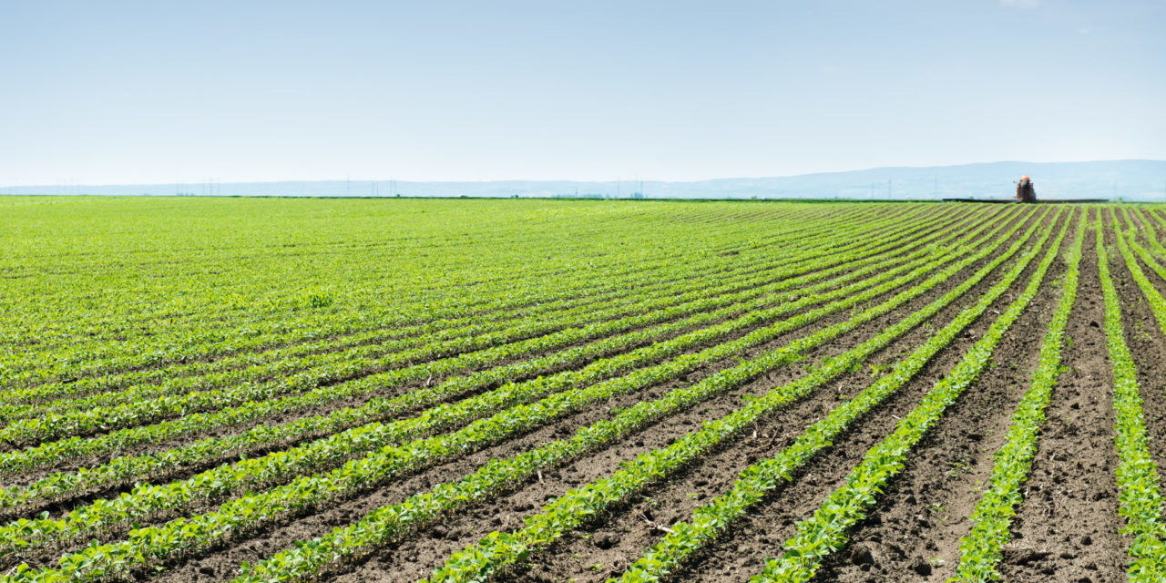 Rethinking Agriculture: Indigo Ag Disrupts the Industry