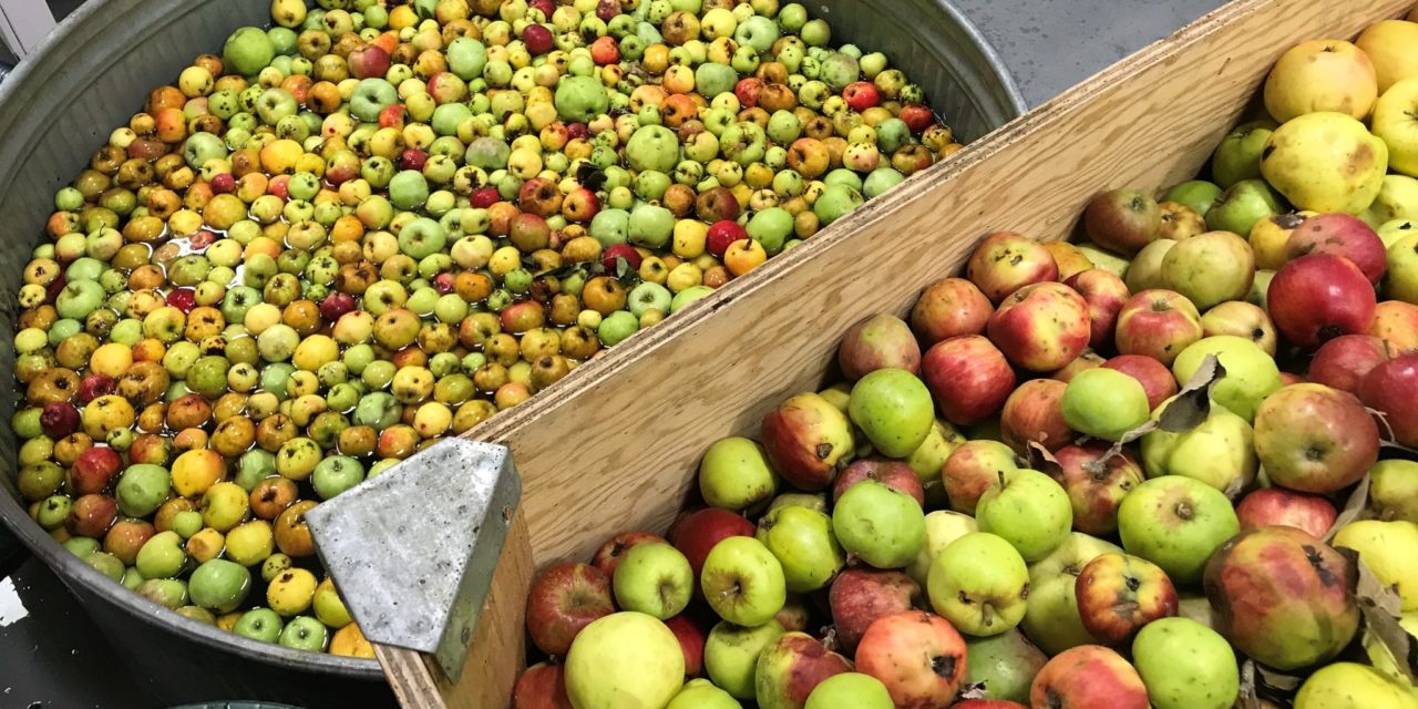 Portland Cider Co. invites neighbors to turn backyard apples and fruits into a community cider to feed the hungry