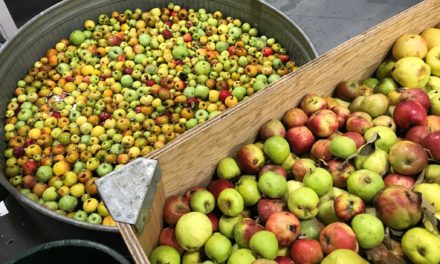 Portland Cider Co. invites neighbors to turn backyard apples and fruits into a community cider to feed the hungry