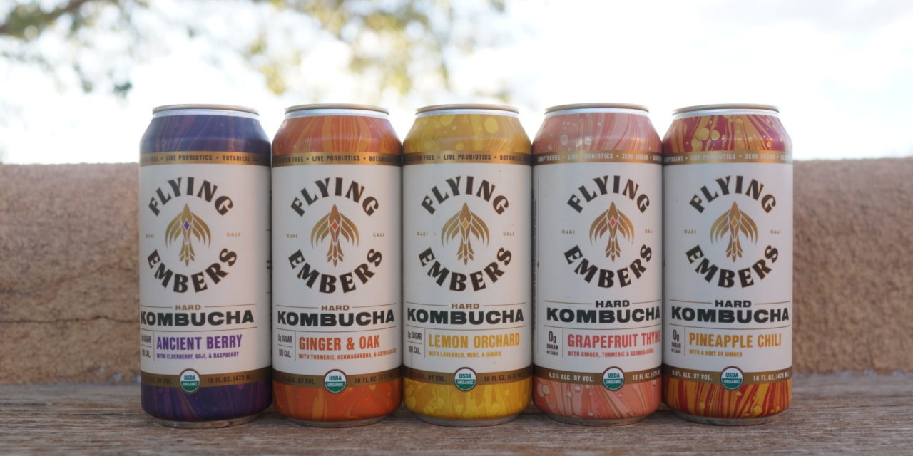 Flying Embers Welcomes Industry Veteran Ty Gilmore as President Leading Hard Kombucha Beverage Brand Expands Executive Suite