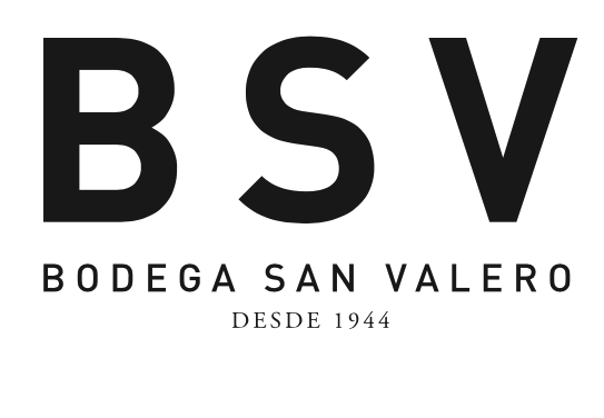 Bodega San Valero to Debut Their First Organic Wines from D.O.P Cariñena At VinExpo New York