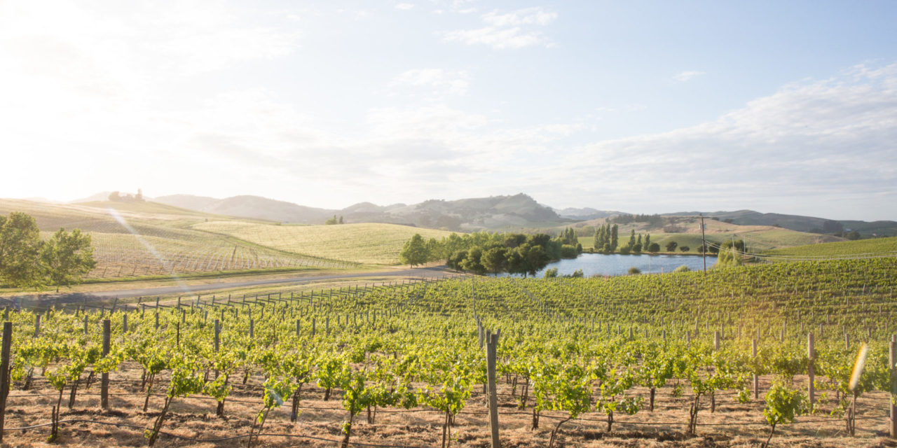 CUVAISON ESTATE WINES ANNOUNCES SUPPORT FOR THE RESTAURANT WORKERS’ COMMUNITY FOUNDATION