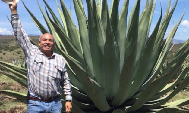 Drop by Drop, IZO Premium Agave Spirits Shapes a Legacy of Environmental Sustainability and Community Connection