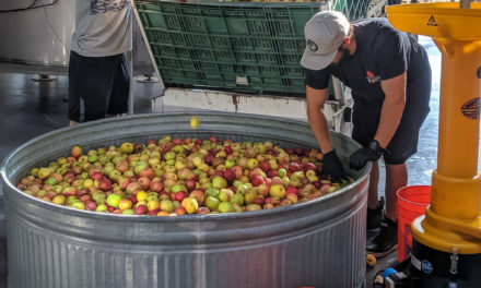 Portland Cider Co. is collecting unwanted apples, fruits and berries for a community cider to raise funds to feed hungry kids