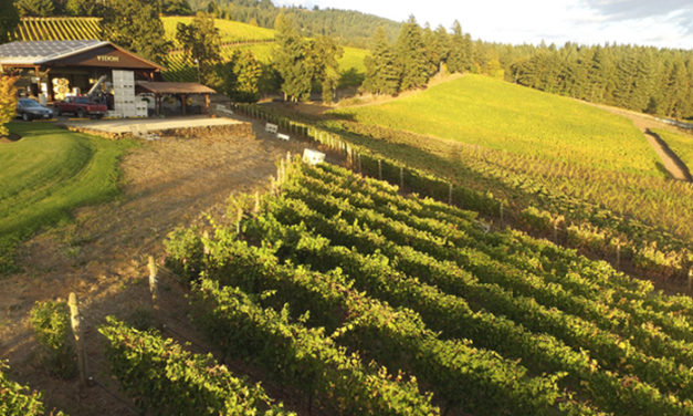 Meet the Willamette Valley Winemakers