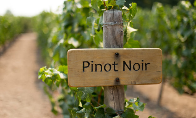 August 18: Pinot Noir Day