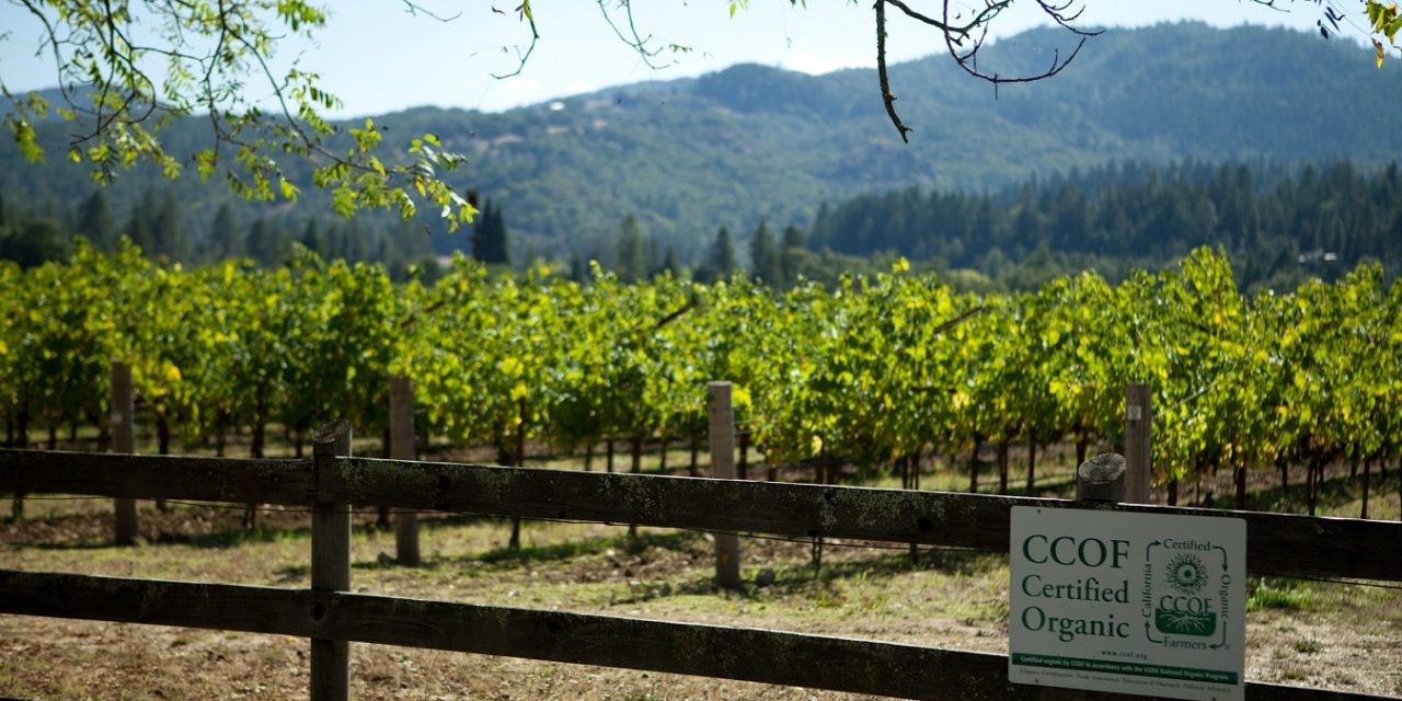 SPOTTSWOODE ESTATE CONTINUES ITS COMMITMENT TO ENVIRONMENTAL ADVOCACY BY BECOMING THE FIRST NAPA VALLEY WINERY TO EARN B CORP CERTIFICATION