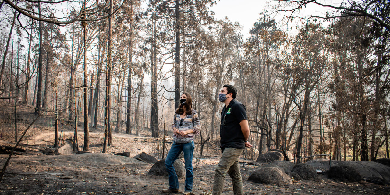 Tioga-Sequoia Brewing Company Pledges “1% for the Planet” Donation to the Central Sierra Resiliency Fund to Support Revitalization Efforts for Still-Burning Creek Fire, California’s Largest Recorded Wildfire